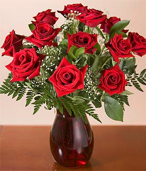  Fresh Cut 24 Red Roses - Fresh from the Farm Red Rose Bouquet  – Hand-Selected Long-Lasting, Gift and Home Decor Perfect Fresh Flowers, 20 Long Stems No Vase-2 Dozen